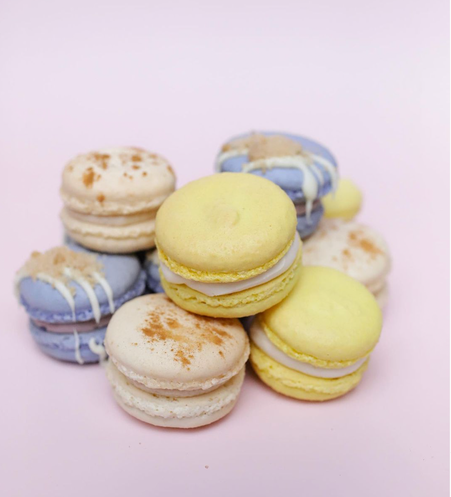 Gourmet XL Macaron (Box of 12) – Shelbycake LLC
