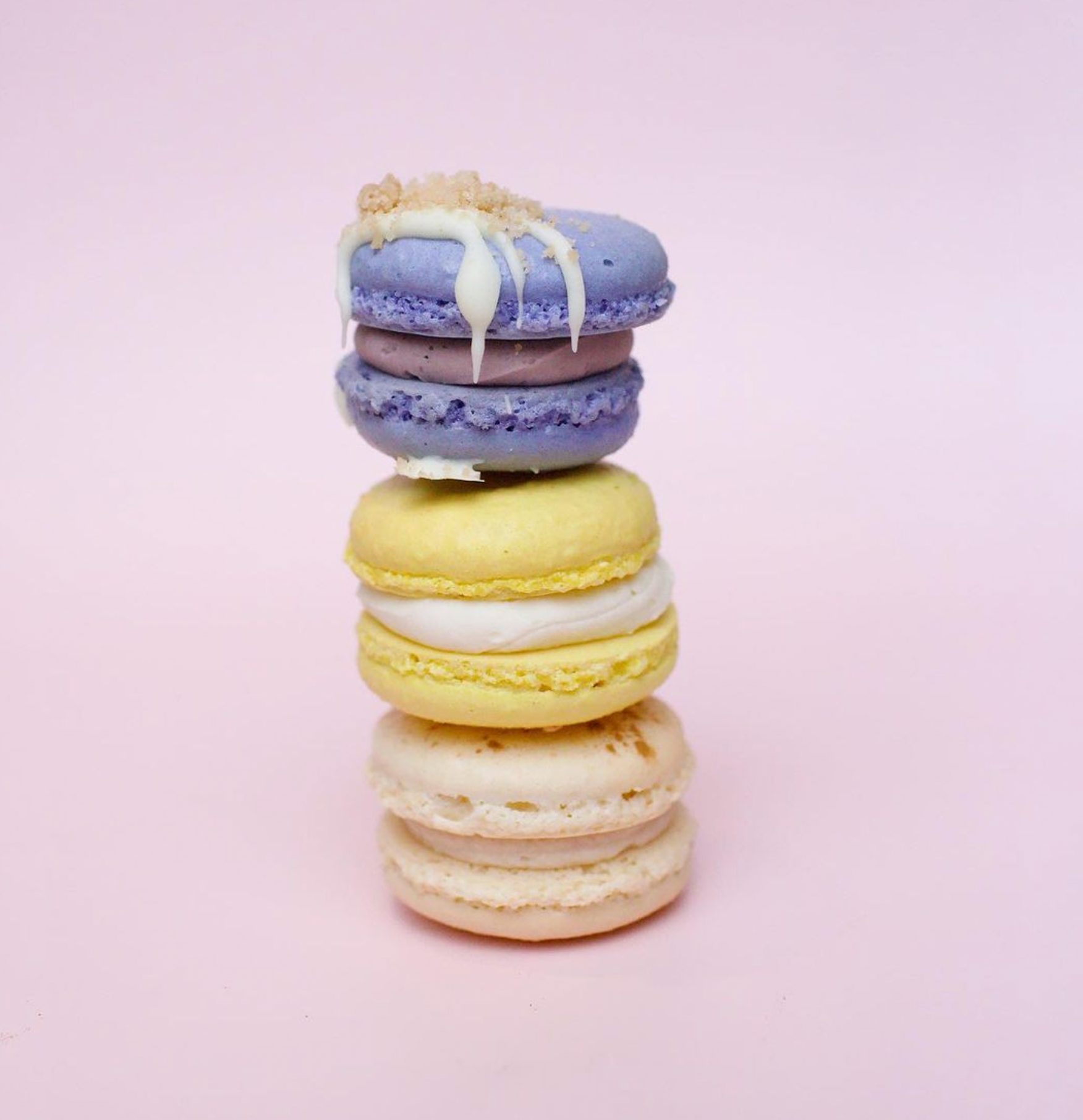 Gourmet XL Macaron Collection (Box of 6) – Shelbycake LLC